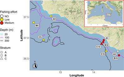 Spatial analysis of demersal food webs through integration of eDNA metabarcoding with fishing activities